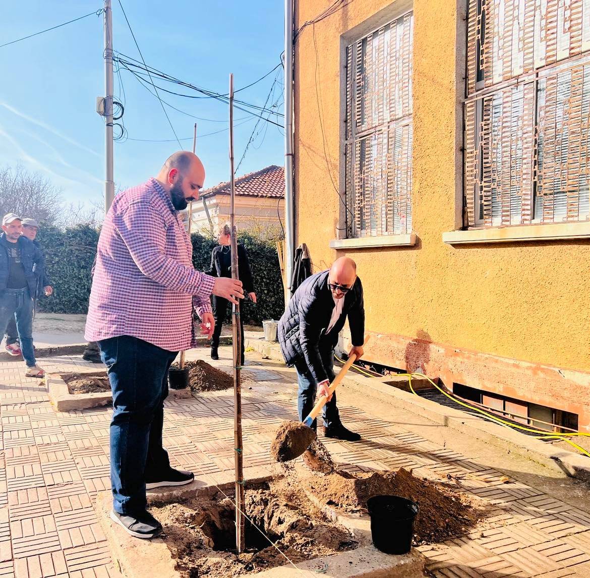  Засаждат дарените от Мартин Харизанов кипариси 